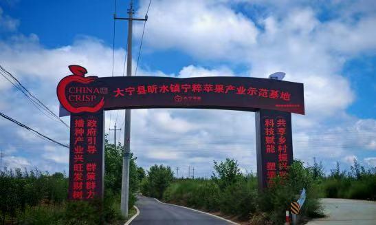 黄土坡变“聚宝盆”:果药双丰促增收
