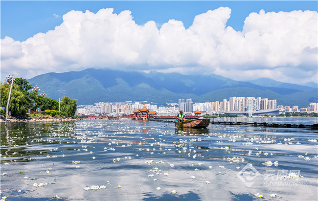 长江十年行｜高原湖泊绽芳华