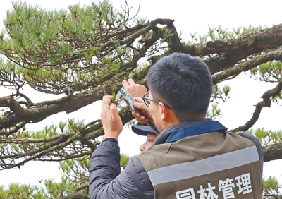 山峰“轮休” 山岳“常青”(美丽中国·世界自然遗产这样保护)