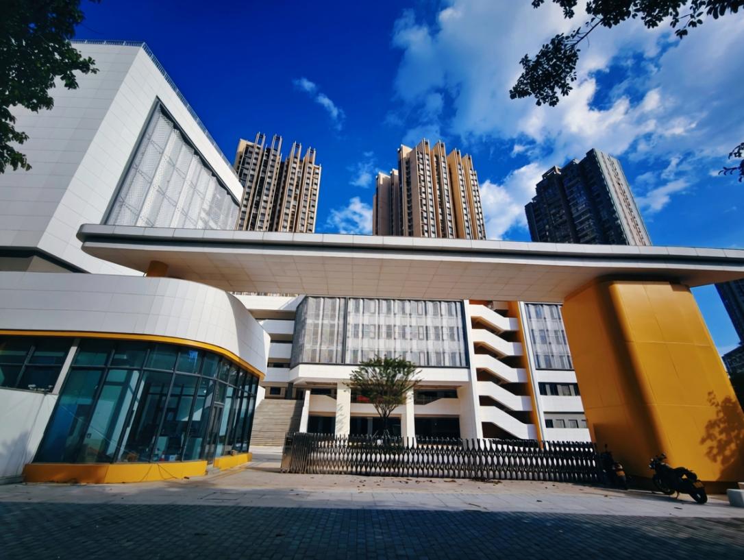 美好教育看得见|操场搬上房、泳池建地下，重庆渝中把学校“叠”了起来