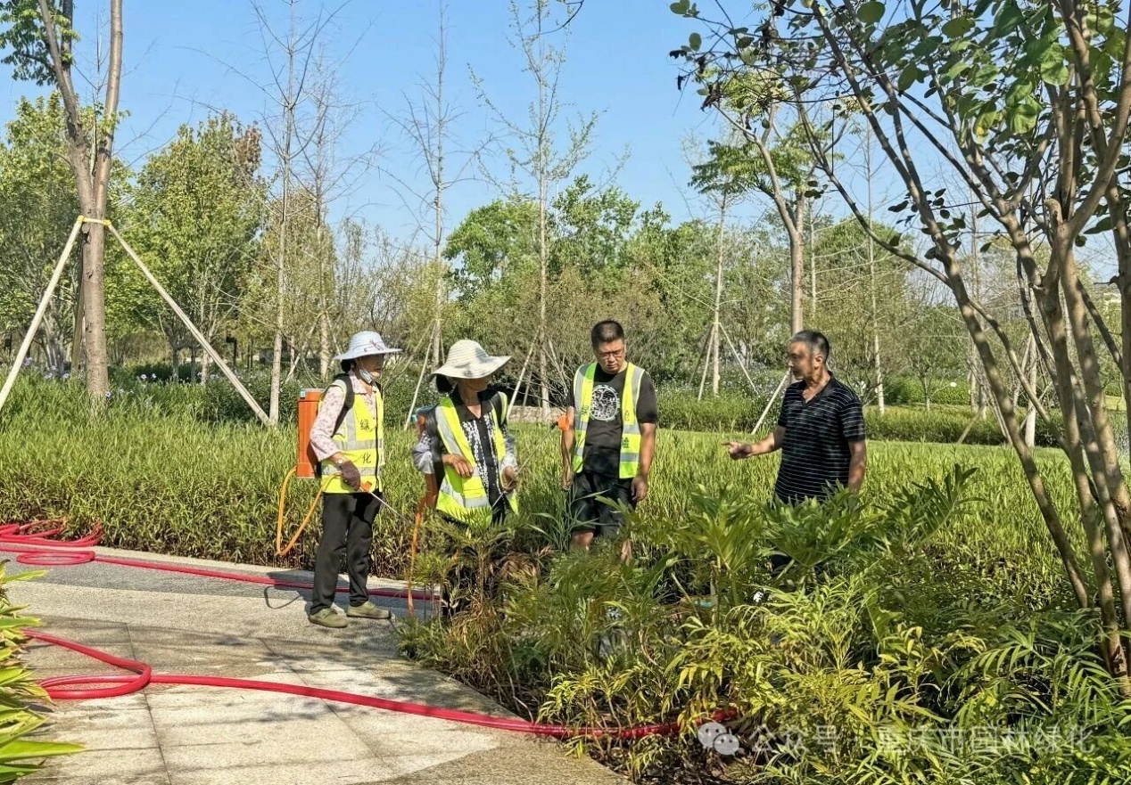 高温“烤”验下，重庆市园林绿化服务中心为一线岗位“降温”护航