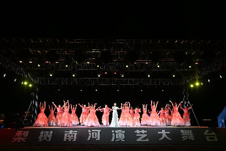 梨树夏夜笙歌起,文化惠民迎“牡丹” IMG_256
