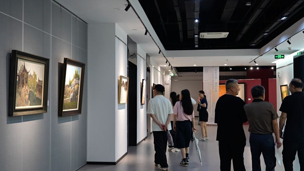 色彩里的“水韵江苏”美术展开幕