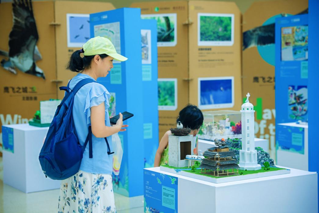 从识鸟小程序到微型生态装置，中美青少年用创意守护“鹰飞之城”