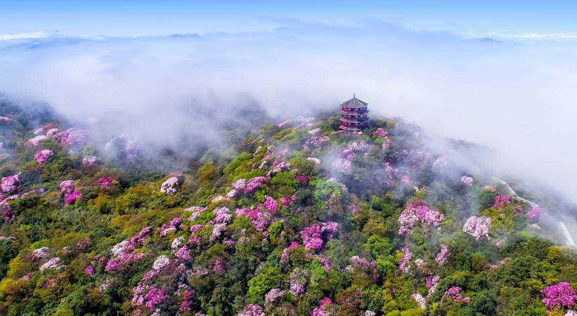 第四个全国生态日｜践行“两山”理念结硕果 重庆多点探索生态价值转化新路径