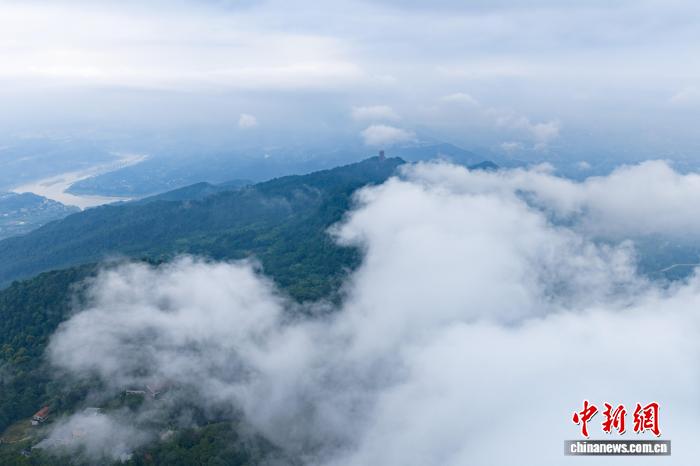 缙云山、金佛山生物多样性观测超级站在重庆揭牌