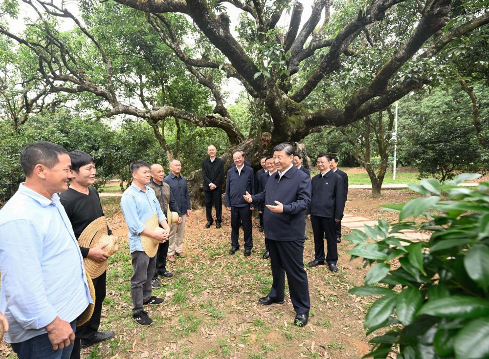 把农业品牌立在岭南大地上丨广东农产品品牌建设十论 把农业品牌立在岭南大地上丨广东农产品品牌建设十论