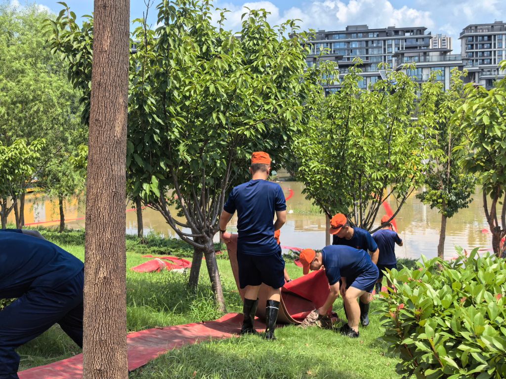 沙颍河之畔 排涝战犹酣——周口市灾后恢复一线见闻