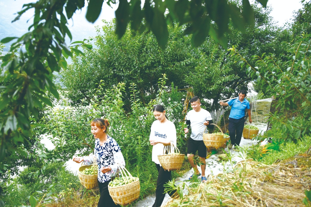 开局起步“十五五”｜重庆巫山力争到2030年GDP迈上400亿元台阶