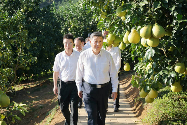 农业强省必须上好“品牌课”丨广东农产品品牌建设十论② 农业强省必须上好“品牌课”丨广东农产品品牌建设十论②