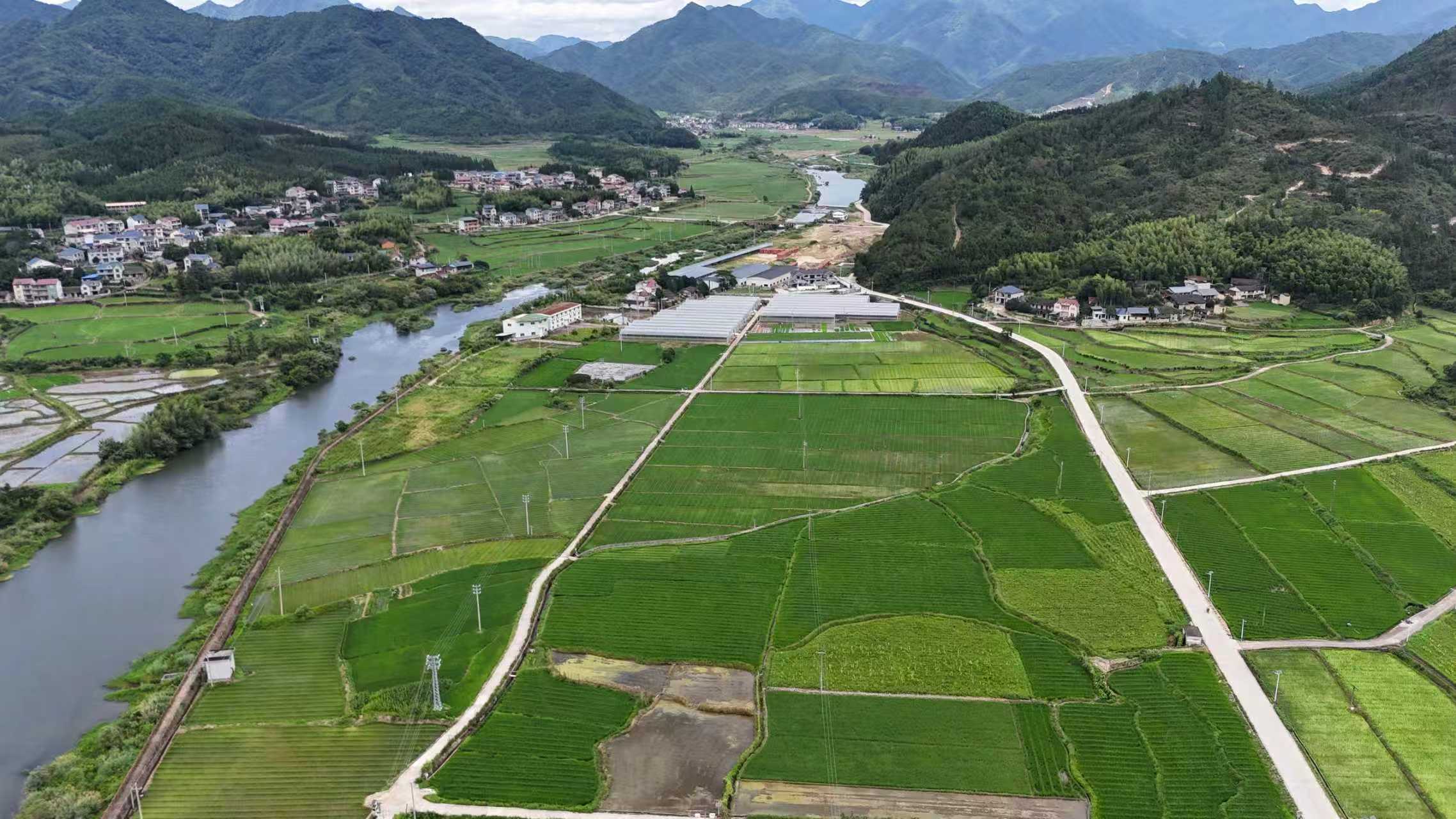 福建省浦城县忠信镇：一心“制好种” 一方“共长富”