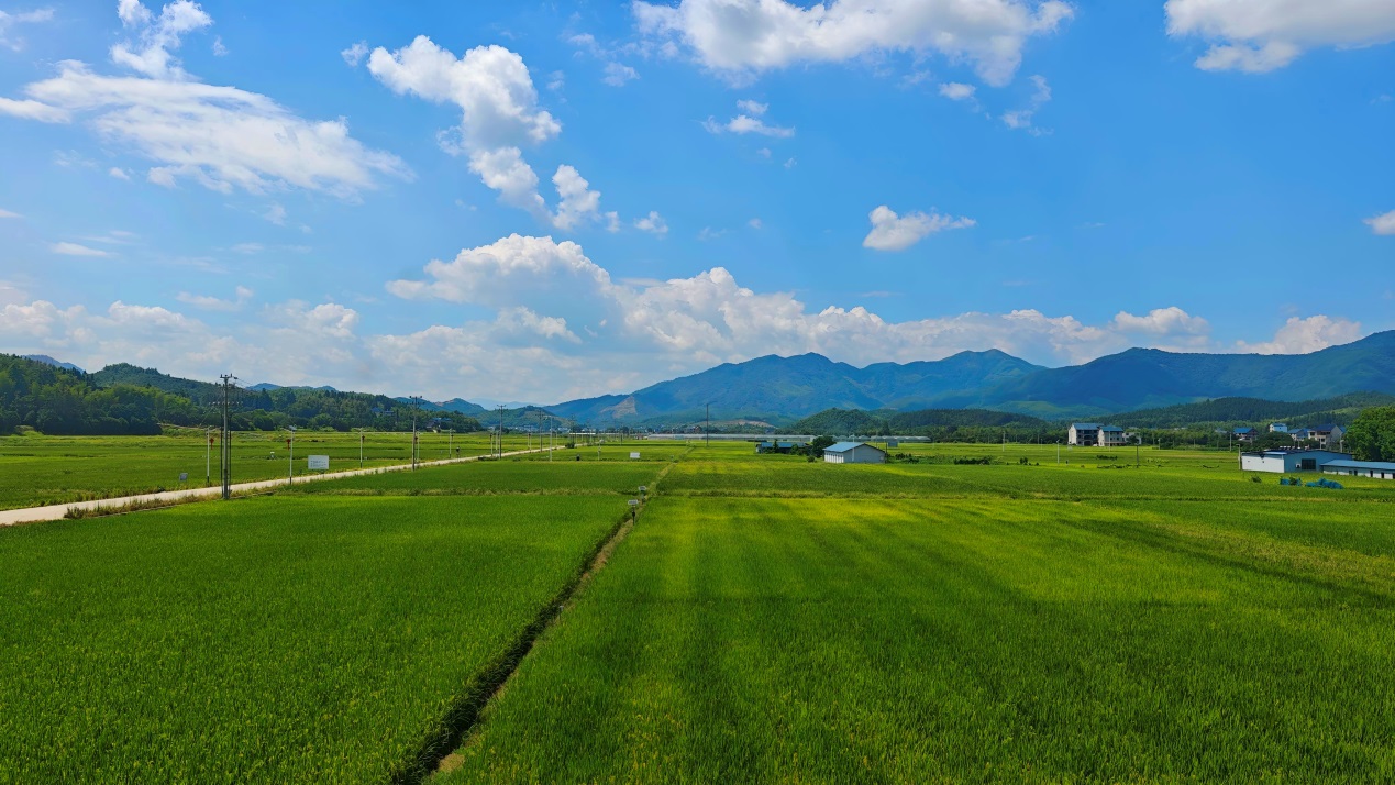 福建省浦城县临江镇：千年古邑漾新韵 农旅共富踏歌行