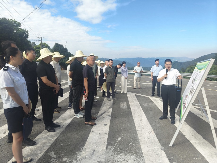 川渝黔深化联防联治，携手筑牢森林资源和生态安全屏障