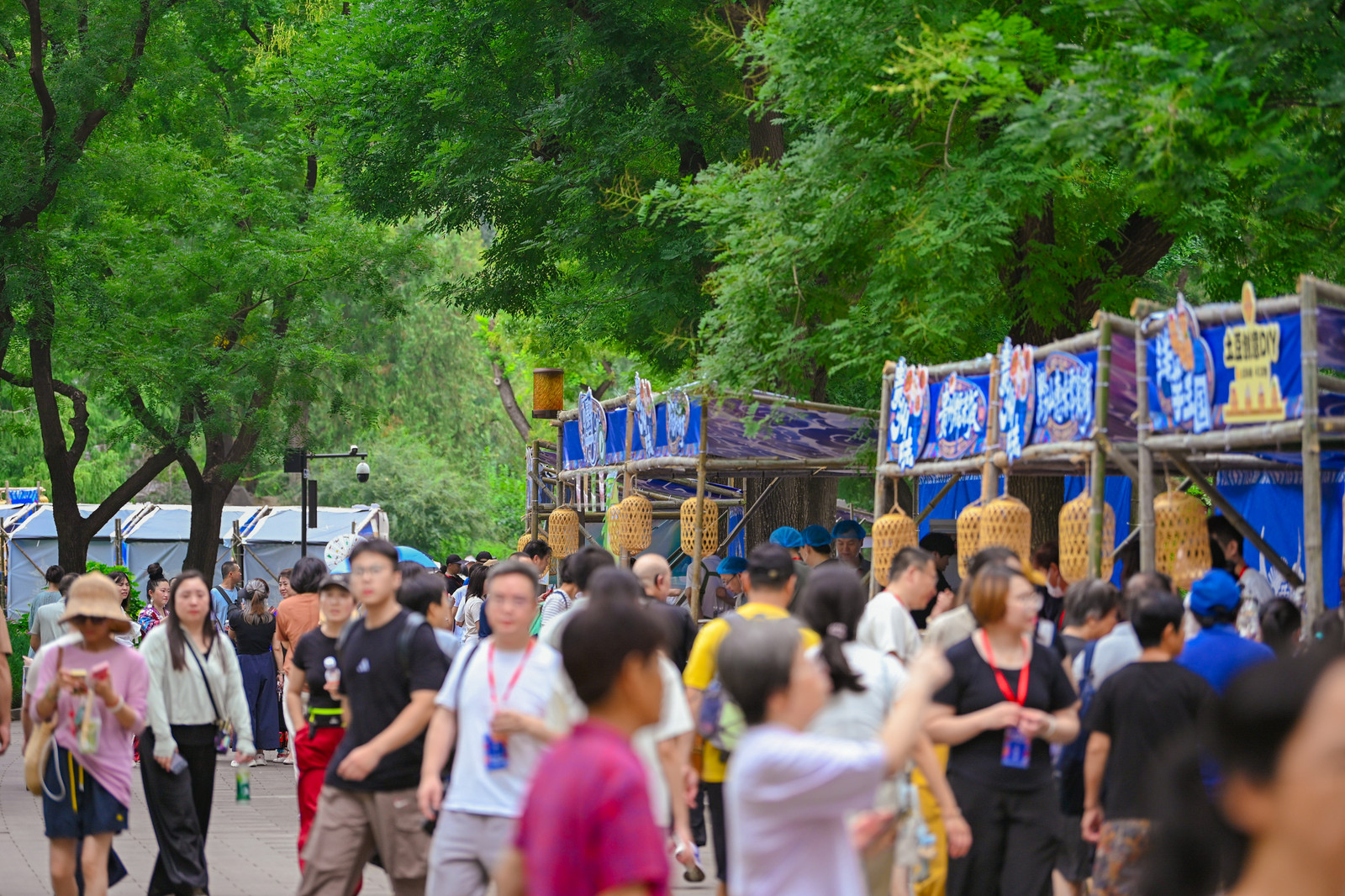 御苑霞光映荷韵 黔风非遗入京华——贵州非遗溯源国风市集在北京北海公园开幕