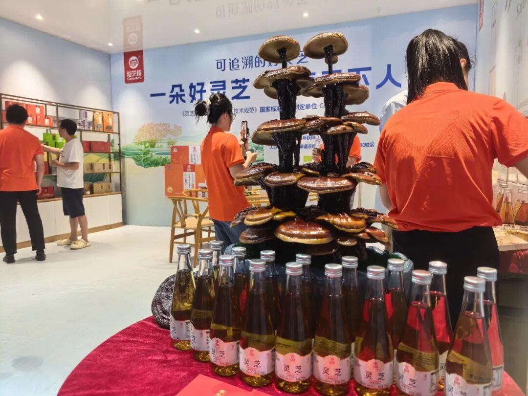 梦笔生花处,好物正出山!2026年福建电商助农联盟系列活动首站走进南平浦城