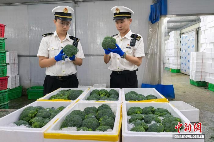 宁夏落地出口农食产品“批次检验(检疫)”模式