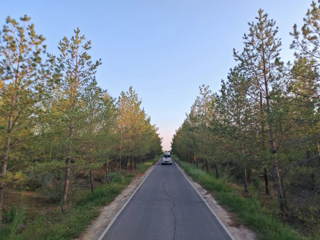 珍于沙上