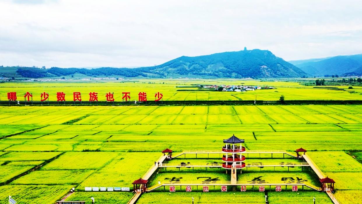 锐观察|在吉林!读懂新电商的“新”
