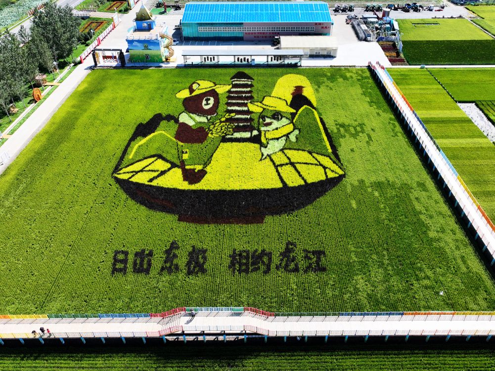 一块试验田,如何把科研成果种进“东极”?