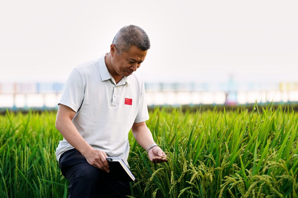 一块试验田,如何把科研成果种进“东极”?