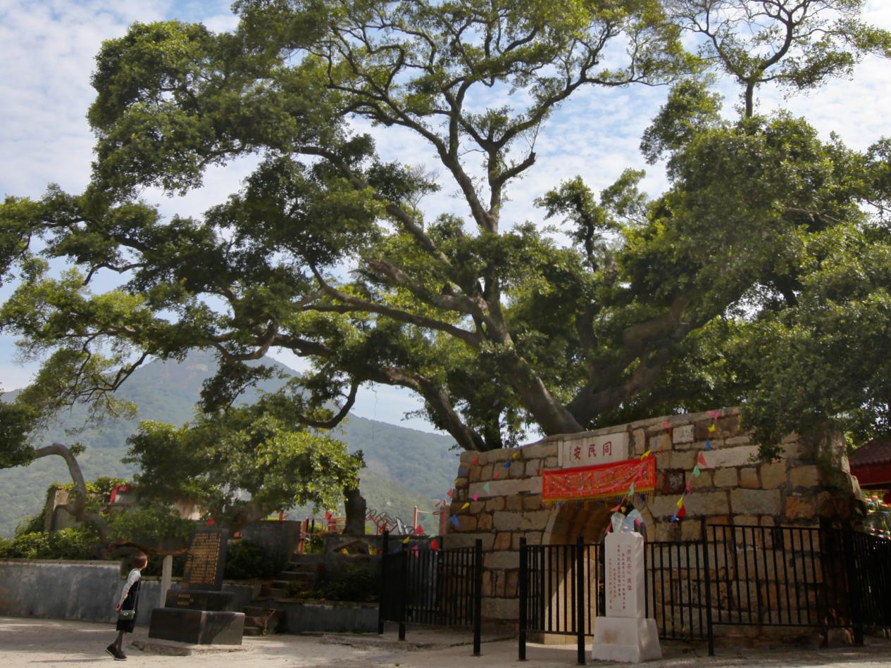 以文润城启新程 业翔民安有新篇