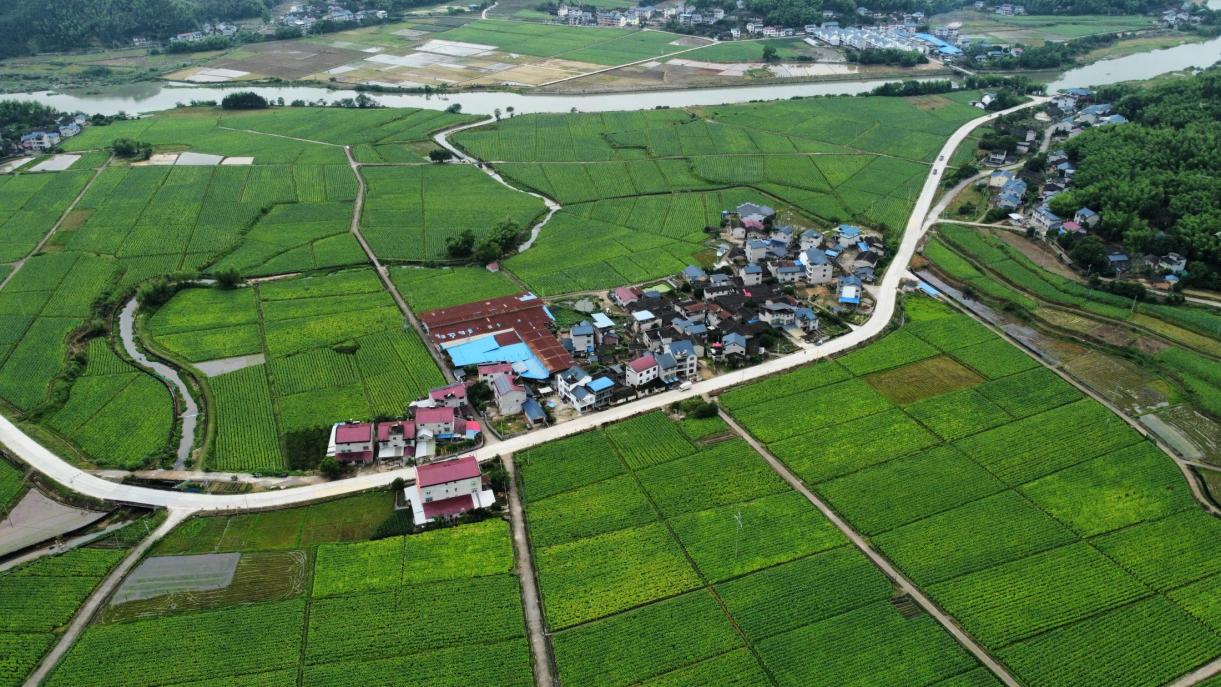 福建省浦城县永兴镇：文脉活起来 产业旺起来 百姓富起来