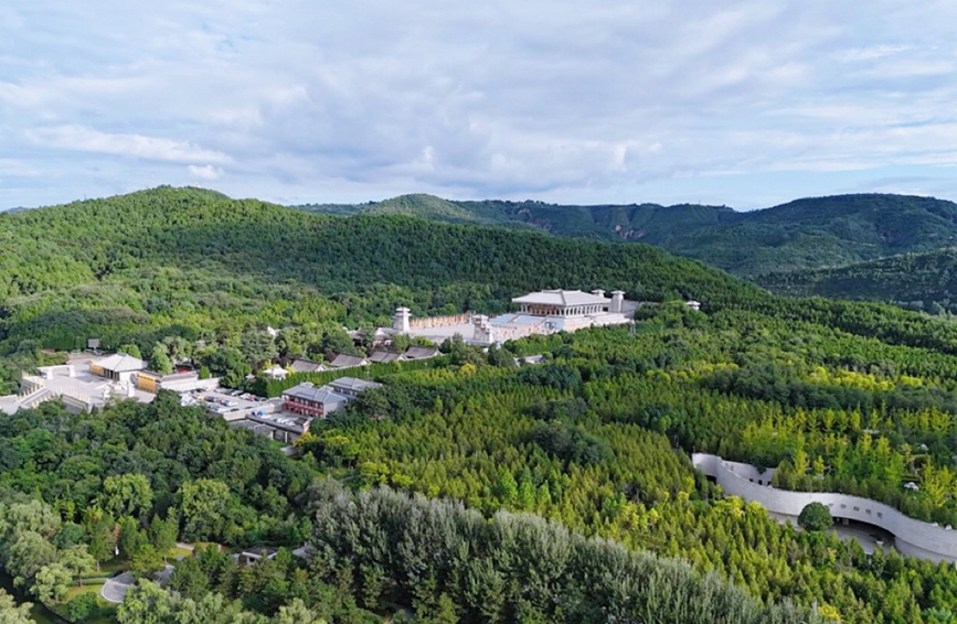 行进中国丨桥山之上柏森森 延安市黄陵县桥山,古柏苍翠繁茂。黄陵县供图
