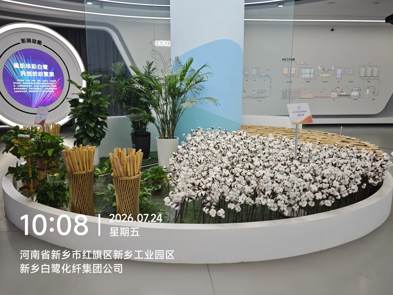 在新乡，听见一座城的脉搏