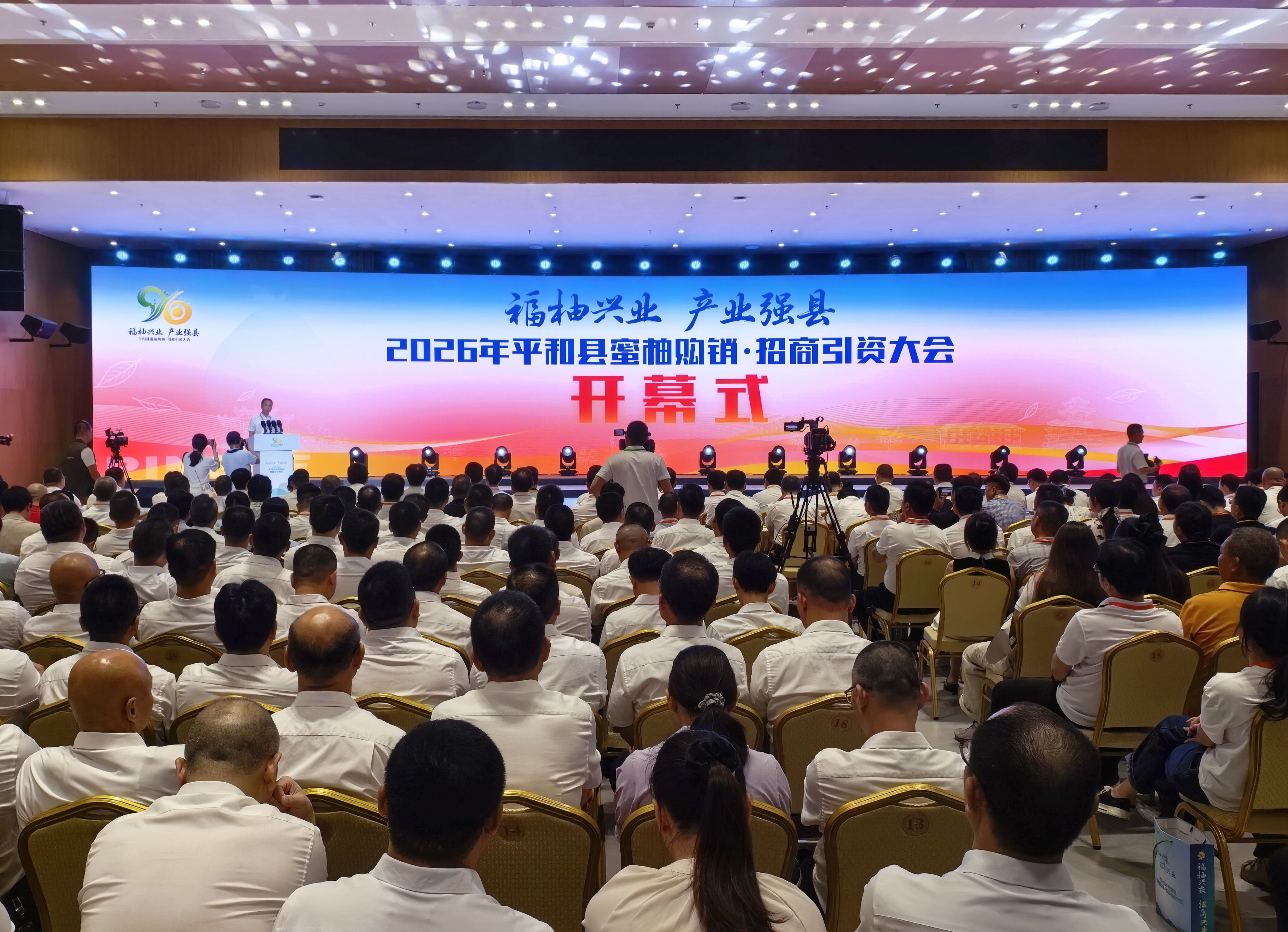 福建平和县：举办蜜柚购销·招商引资大会 打通产销链路