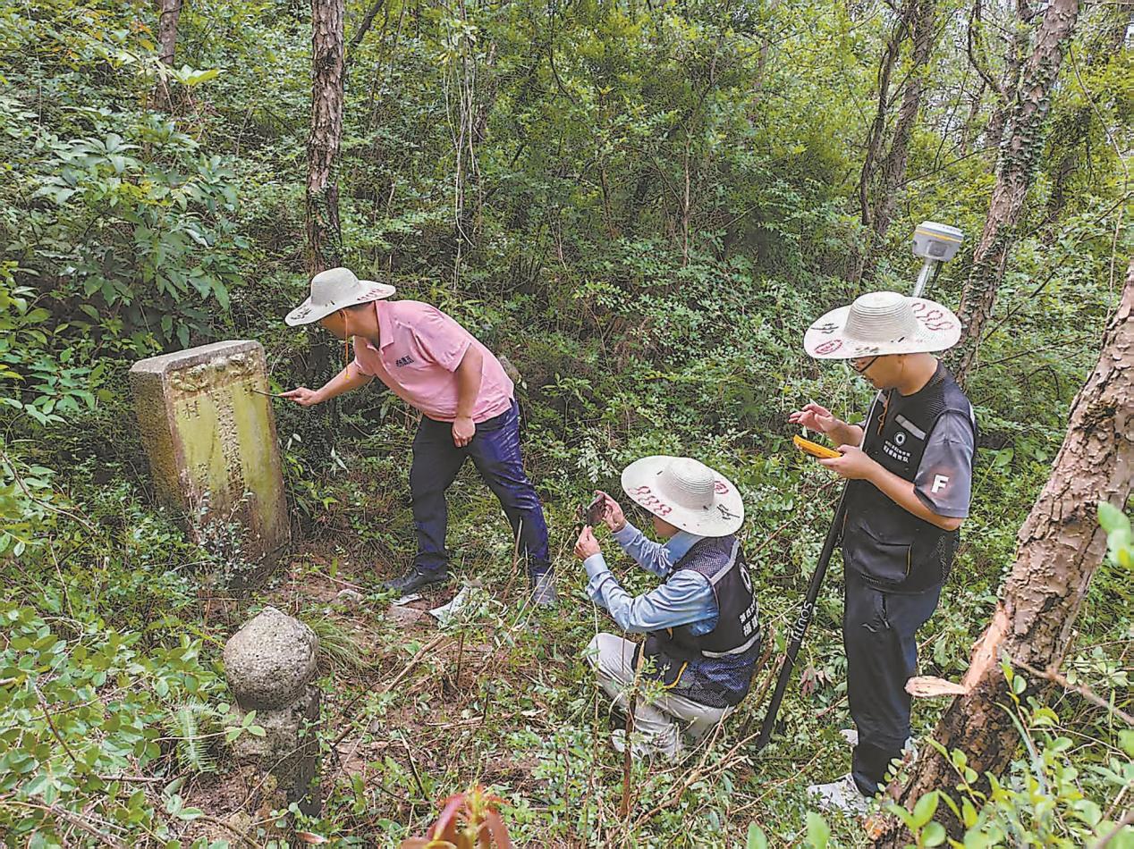 一张高分答卷的背后——厦门市同安区圆满顺利通过第四次全国文物普查“大考”
