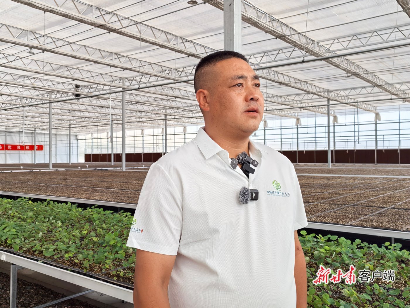 漳县：科技赋能淫羊藿产业 打造道地药材“金名片”