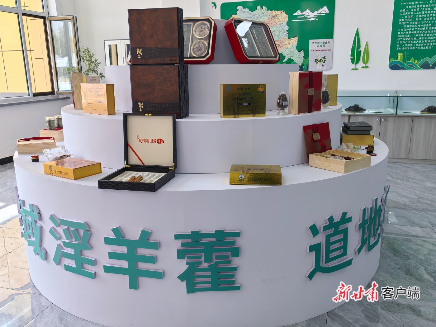 漳县：科技赋能淫羊藿产业 打造道地药材“金名片”