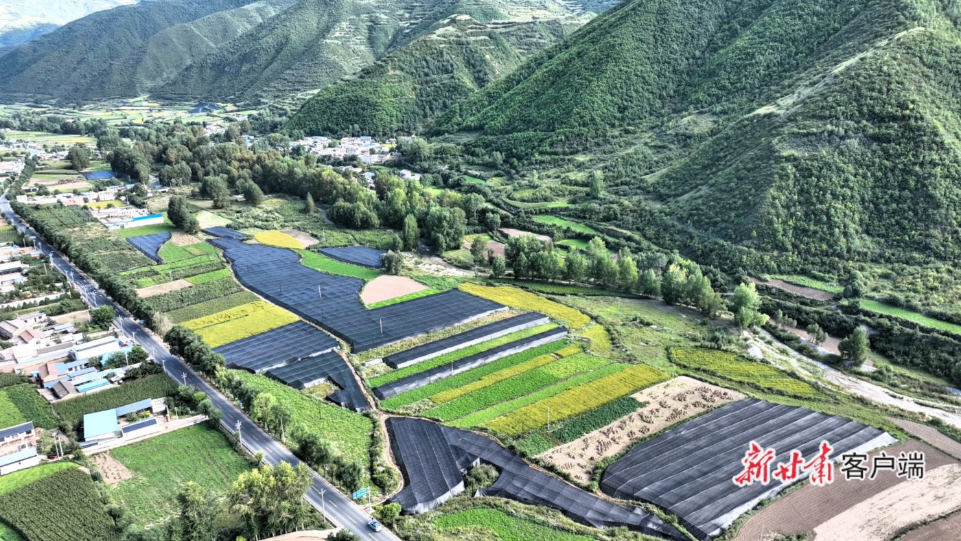 漳县：科技赋能淫羊藿产业 打造道地药材“金名片”