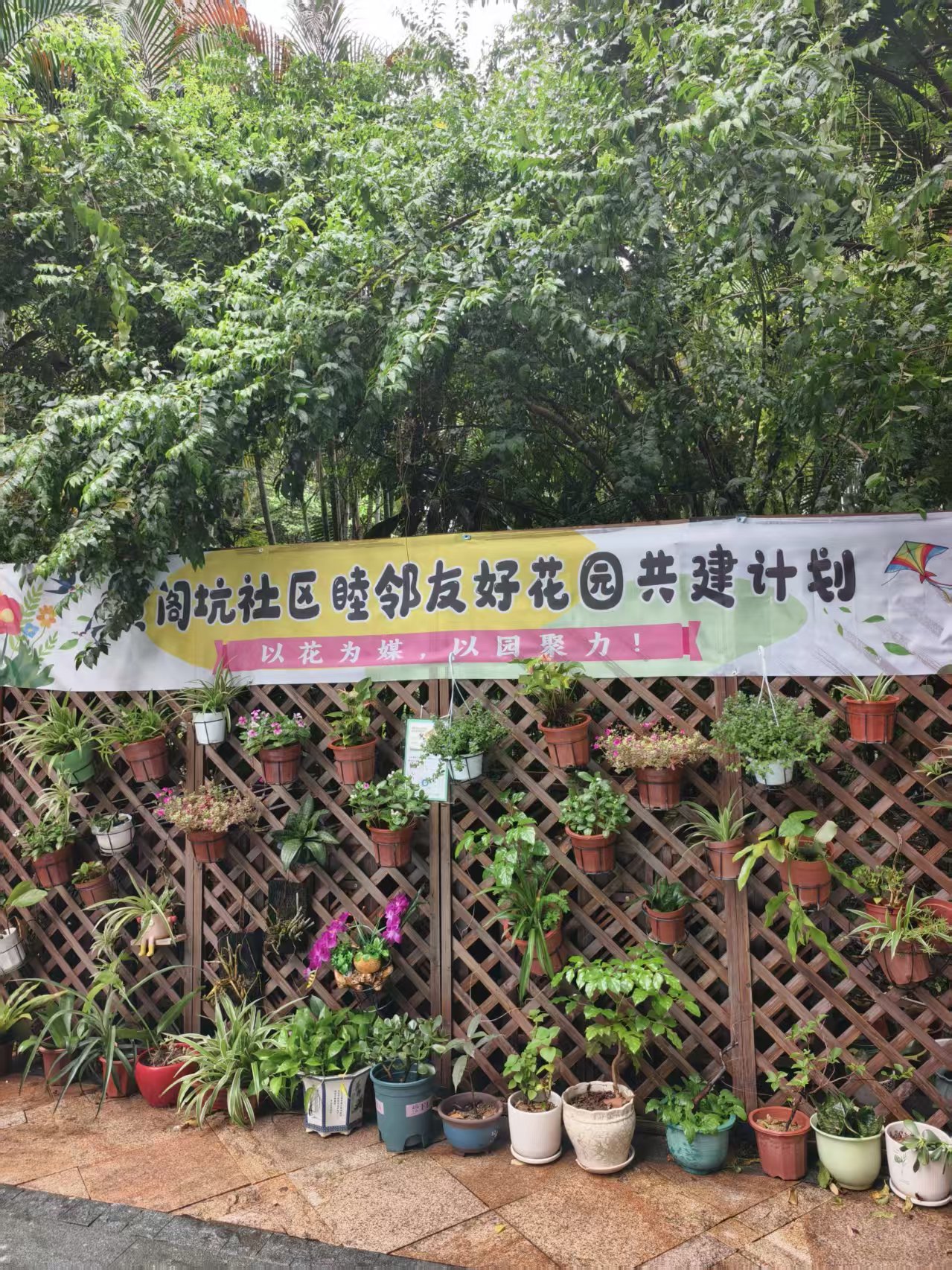 荒地变花园、邻里变家人