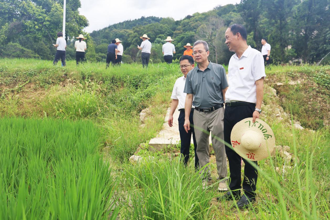 育见新时代·光明会谈丨福建农林大学党委书记赖海榕：耕读八闽 扎根大地——培养“懂农业、爱农村、爱农民”的高素质农林人才