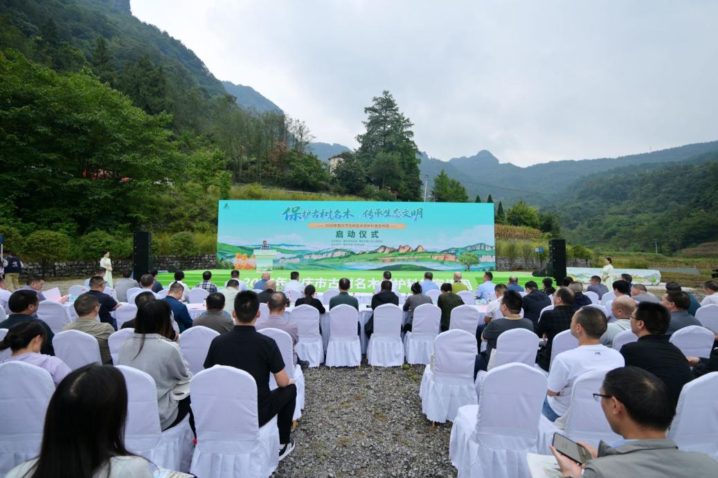 全民守护巴渝绿色根脉 2026年重庆市古树名木保护科普宣传周启动