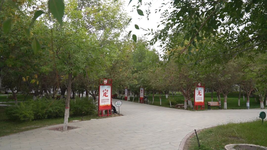 【西北有座幸福城】深耕基层善治理 法治赋能护安宁——十师北屯市绘就共建共治共享幸福画卷