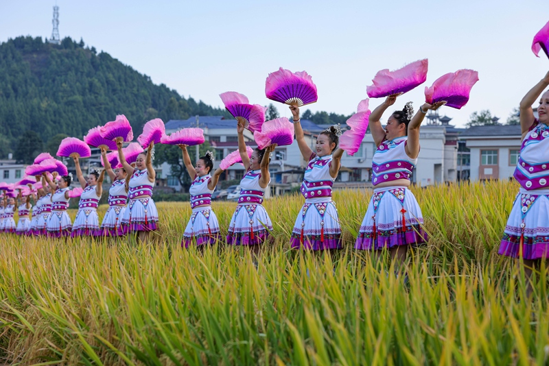 活动现场。