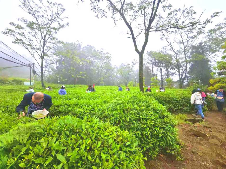 活化千年地名文脉 赋能乡村振兴 “新重庆・老地名・边界行”走进重庆永川