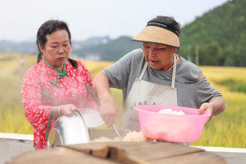 活动现场。