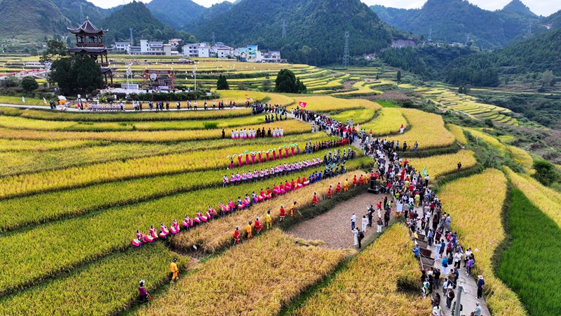 活动现场。
