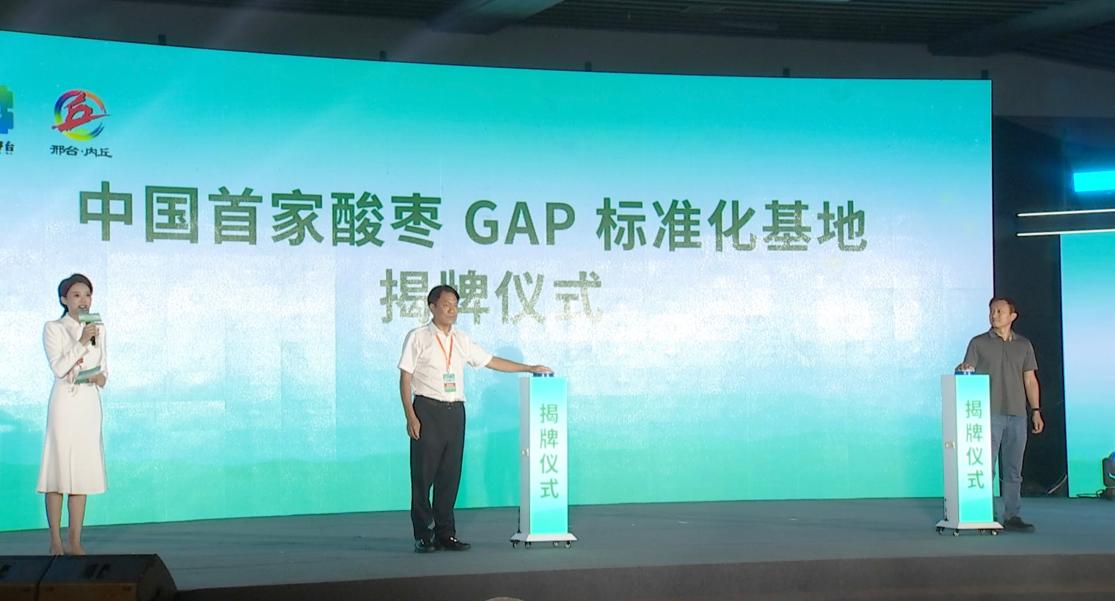 河北内丘：第五届扁鹊文化节暨文化助眠之城推介会举行
