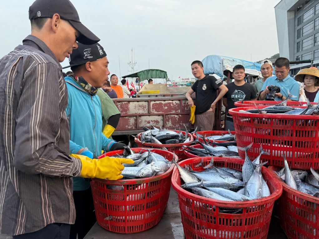 全面开渔啦:看懂休渔密码,实现海鲜自由