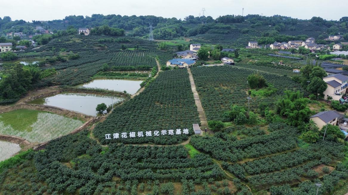 何方家国 | “新重庆・老地名・边界行”走进重庆江津：解锁老地名背后的乡愁故事