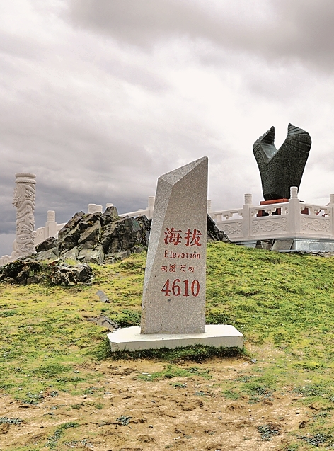 黄河之水“玛多”来