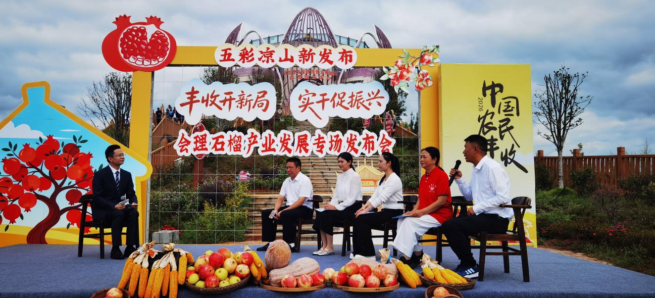 “五彩凉山新发布”会理石榴专场发布会走进田间地头