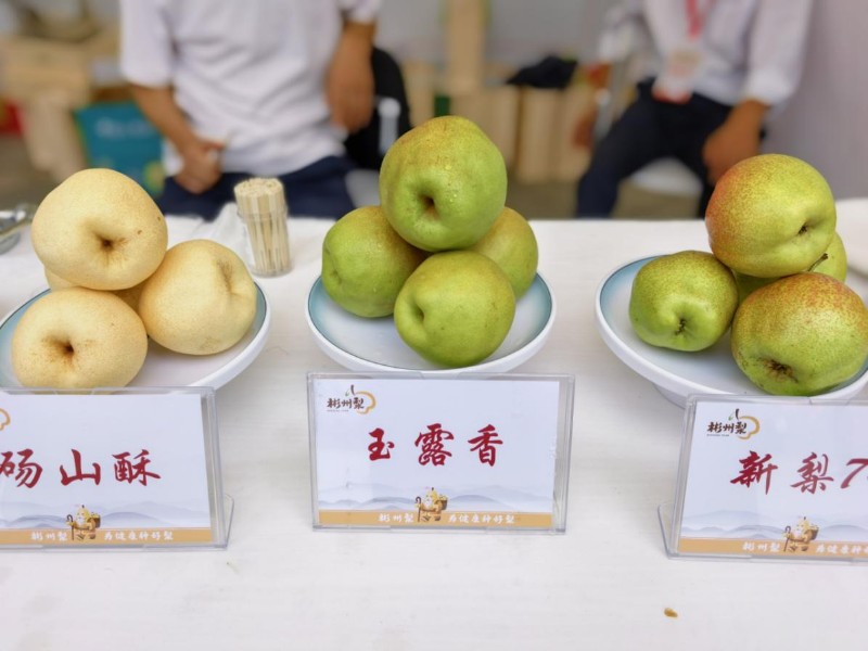 彬州梨、彬州苹果双品牌亮相 打造国家级健康种植核心区