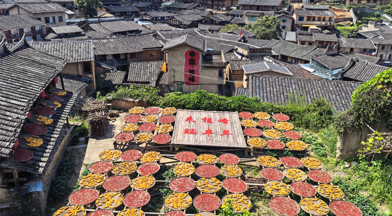 福建尤溪桂峰村：八百年文脉，生生不息