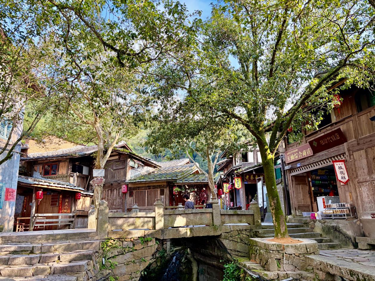 福建尤溪桂峰村：八百年文脉，生生不息