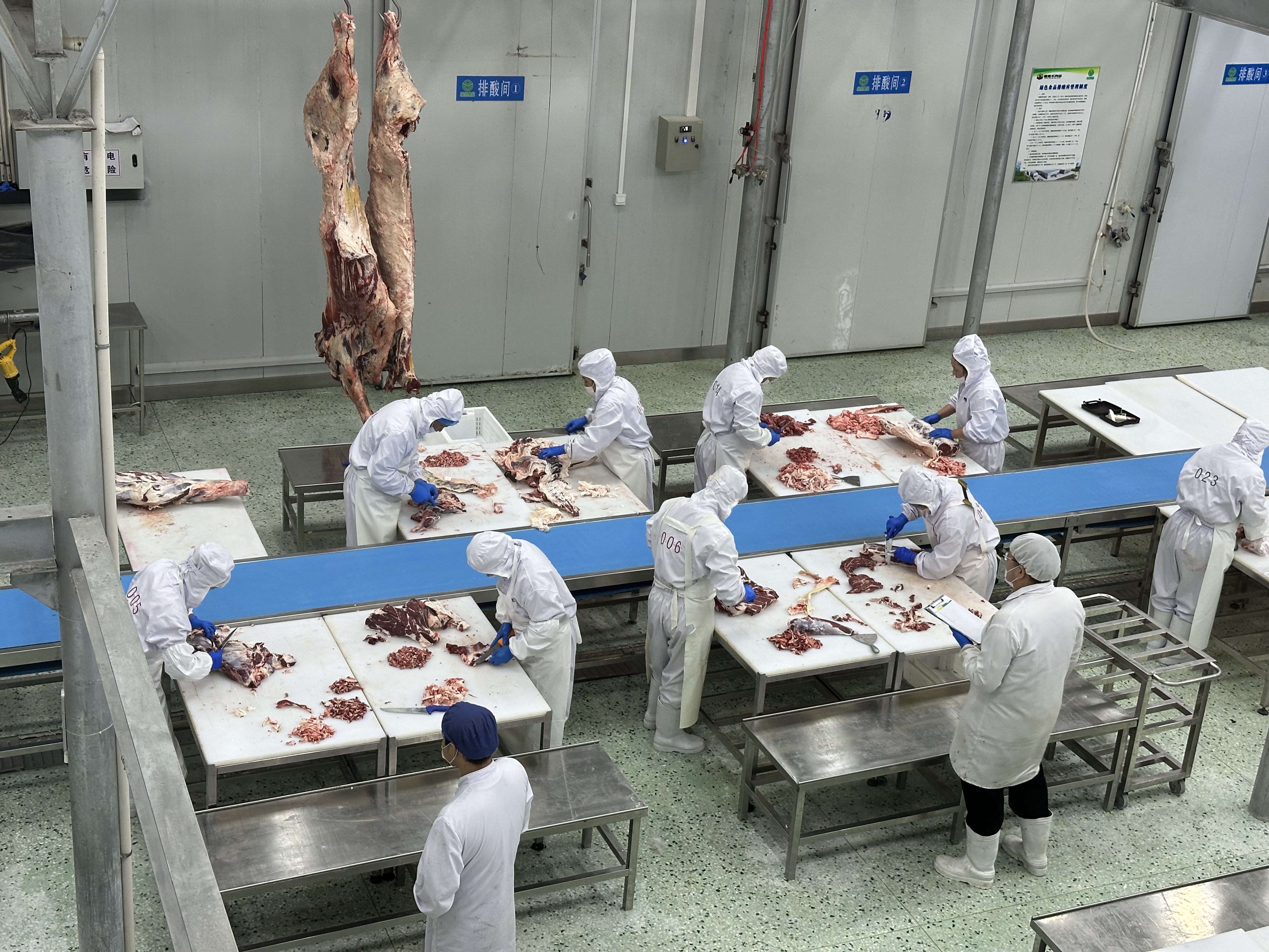 活力中国调研行｜黑土地上的“链式跃迁”——黑龙江畜牧业高质量发展观察